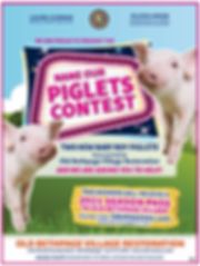 OBV Piglet Contest 2020.jpg